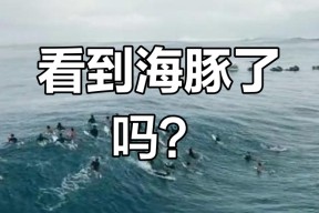 开云体育-冲浪锦标赛，辽东铁骑队与中原海豚队绝杀，VAR改判成焦点！快速转换撕裂防线的简单介绍
