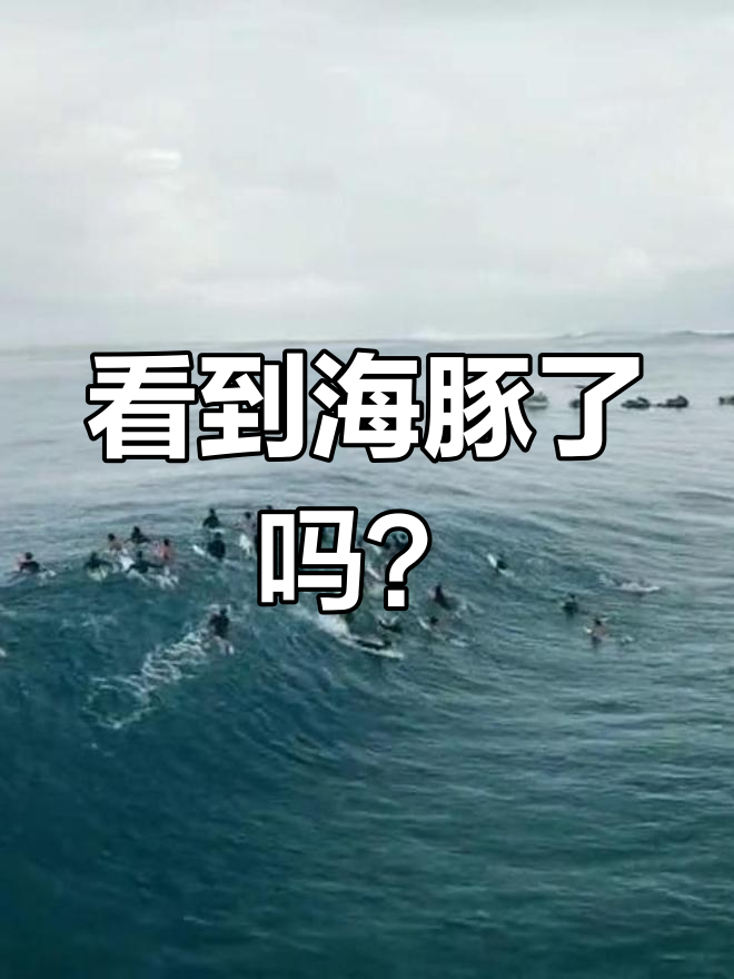 冲浪锦标赛，辽东铁骑队与中原海豚队绝杀，VAR改判成焦点！快速转换撕裂防线的简单介绍